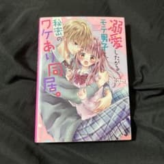 溺愛したがるモテ男子と、秘密のワケあり同居。 ゆいっとのサムネイル