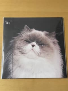カネコアヤノ『燦々』レコード - メルカリ