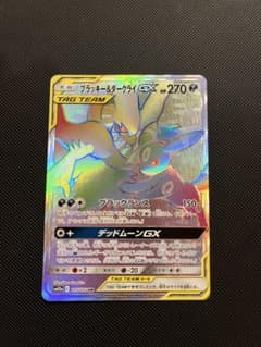 ブラッキー＆ダークライGX HRのサムネイル