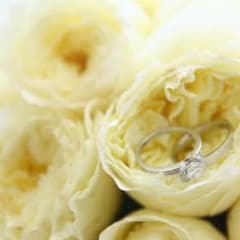 ＣＲＯＷＮ様専用ページのサムネイル