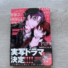 ⭐︎ PUNKS△TRIANGLE stitch 1 沖田有帆のサムネイル