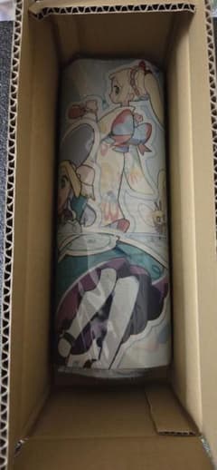 Pokémon Masters EX Playmat - Prize Item - Lillie - Unused