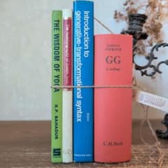 B463 お洒落な組み合わせ ヴィンテージ 洋書 ディスプレイ インテリア