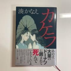 カケラのサムネイル