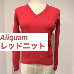 【Aliquam】 レッド ニット Vネック 長袖のサムネイル