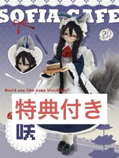 変身⭐︎電気街 咲 BJDドール 特典付き - メルカリ