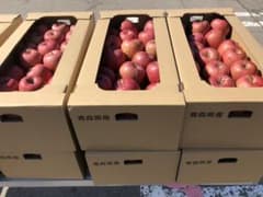 青森県産 林檎（ふじ）のサムネイル