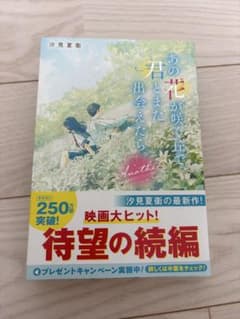 그 꽃이 피는 언덕에서 너와 다시 만날 수 있으면 소설 영화