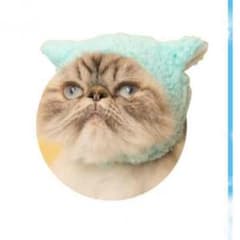 ゆみ様 専用です☆のサムネイル