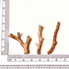 h*9様 天然枝ピンクサンゴ　3本セット