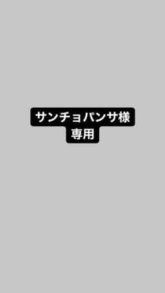 ポケモンカード ピカチュウ CHRのサムネイル
