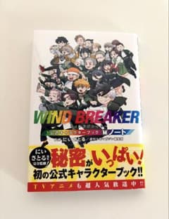 WIND BREAKER 1巻〜24巻＋公式キャラクターブック WIND BREAKER 公式キャラクターブック 秘ノート | コミック | Hulu