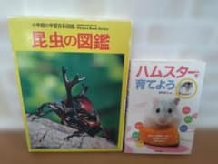 昆虫の図鑑 ハムスターを育てよう 2冊セットのサムネイル