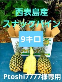 Ptoshi7777様専用】スナックパイン9キロ - メルカリ