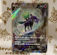 こくばバドレックスv saのサムネイル