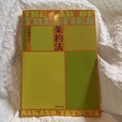 The Law of Treaties 条約法 中野徹也著のサムネイル