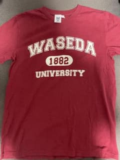 早稲田大学 Tシャツ エンジ Mサイズのサムネイル