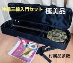 極美品⭐︎沖縄三線 人工革 入門セット ソフトケース付 付属品 多数