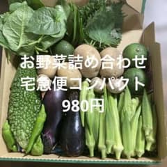 お野菜詰め合わせ 980円 宅急便コンパクトのサムネイル