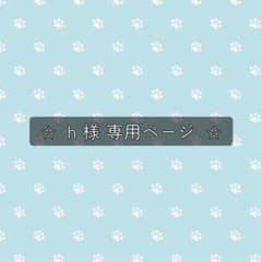 h様 専用ページ‪✩.*˚のサムネイル