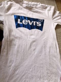 Tシャツのサムネイル