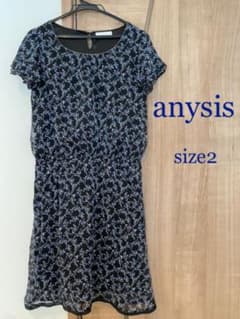 anysis ワンピースのサムネイル