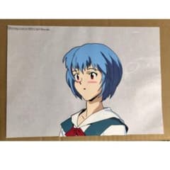 m12751424662_1.jpg?1756158439