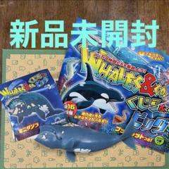くじら＆Co. まとめ売り 売り切れ店続出の人気シリーズから くじらと仲間たちを集める