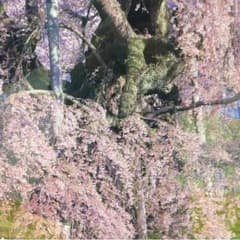 M様   専用のサムネイル
