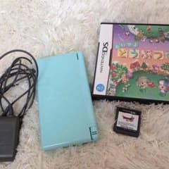 DS Liteのサムネイル