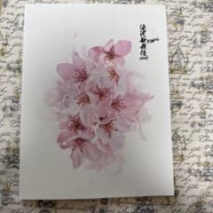 Takizawa Kabuki ZERO FINAL Pamphlet