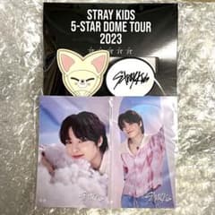 straykids スキズ オンラインくじ アイエンのサムネイル