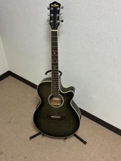 Pro Martin エレアコ EA500W BKS 動作確認済み ケース付 Pro Martin エレアコ EA500W BKS 動作確認済み ケース付 - メルカリ
