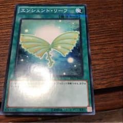 エンシェントリーフのサムネイル