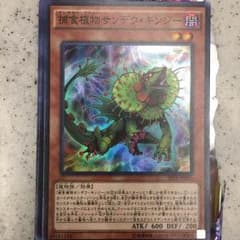 捕食植物サンデウ・キンジーのサムネイル