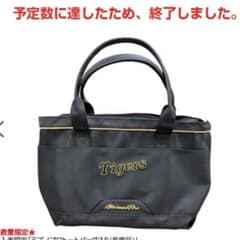 値下可】ミズノプロトートバッグ 阪神タイガース 非売品 2024 プロコレ