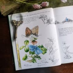 m12763375862_1.jpg?1754834257