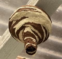 m12763908564_1.jpg?1750769553