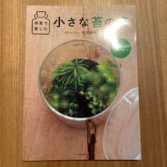 部屋で楽しむ 小さな苔の森のサムネイル