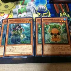 森羅セットのサムネイル