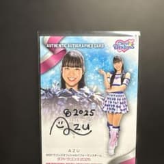 アンニン様 リクエスト 2点 まとめ商品のサムネイル