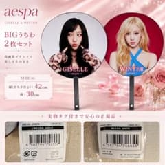aespa SYNK Parallel line うちわ ニンニン | Shop at Mercari from