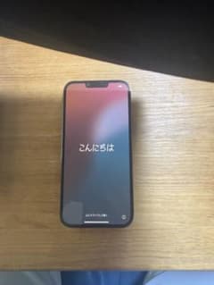 チュオン様】iPhone 13 Pro MAX 256GB グラファイト - メルカリ
