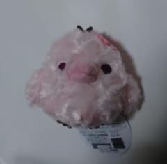 레어리락쿠마 키이로이트리 로즈보아 벚꽃 봉제인형