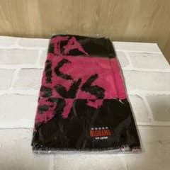 【再値下げ】BIGBANG✰ファンミーティング限定ハンドタオルのサムネイル