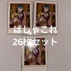 白膠木簓 ぱしゃこれ 26枚セット flava - メルカリ