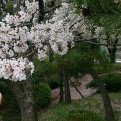 みぃ様専用のサムネイル