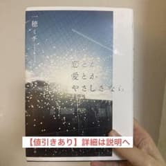 【値引きあり】恋とか愛とかやさしさならのサムネイル