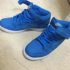 NIKE DUNK PRO MID SBのサムネイル