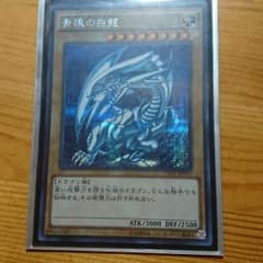 遊戯王 青眼の白龍 ブルーアイズホワイトドラゴン シークレットのサムネイル